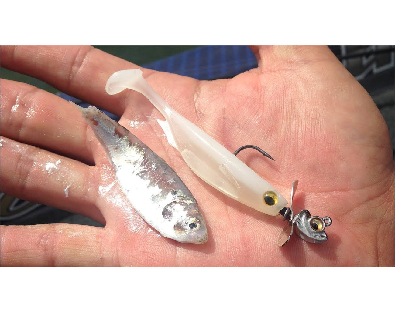 Megabass Spark Shad 7,6cm